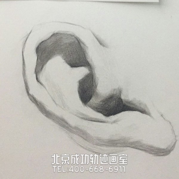 素描耳朵的畫法圖解