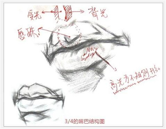 素描入門：素描嘴巴精講教程